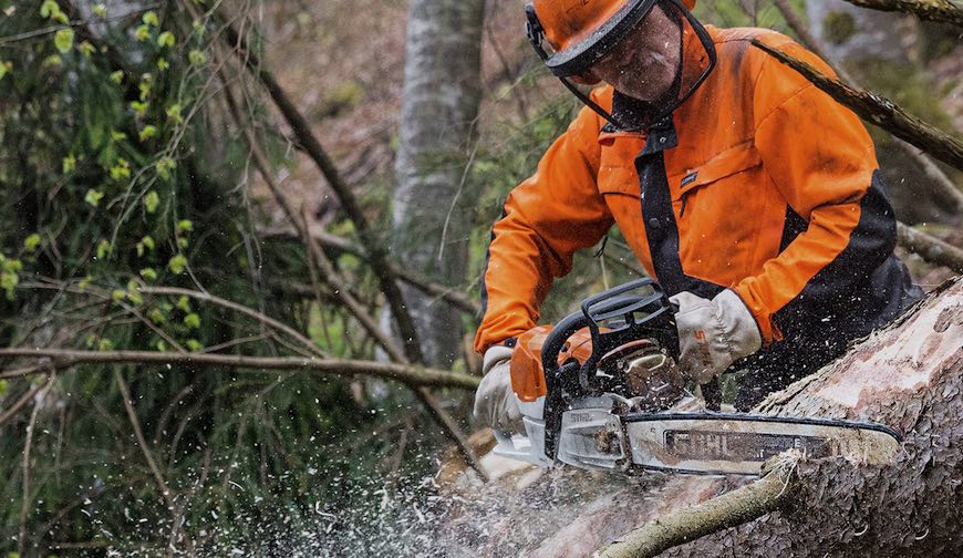 Stihl, tronçonneuse thermique professionnelle